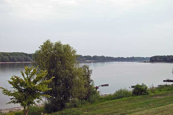 Biológiai eljárással javítják a tolnai Duna-holtág vízminőségét